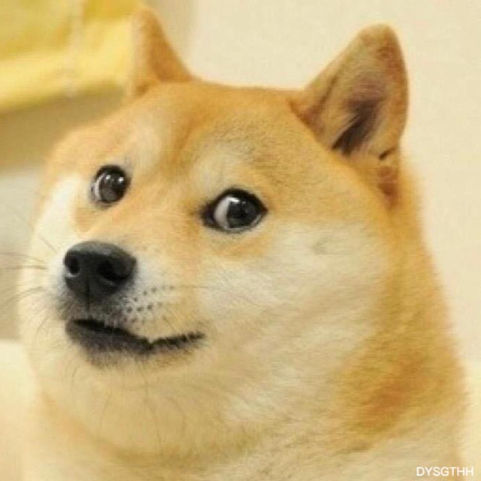 DY是个铁憨憨
