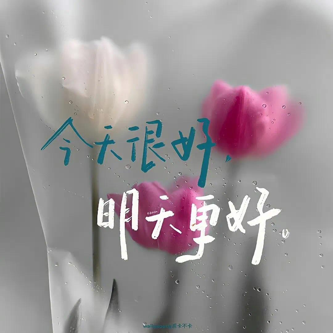 白月光cc