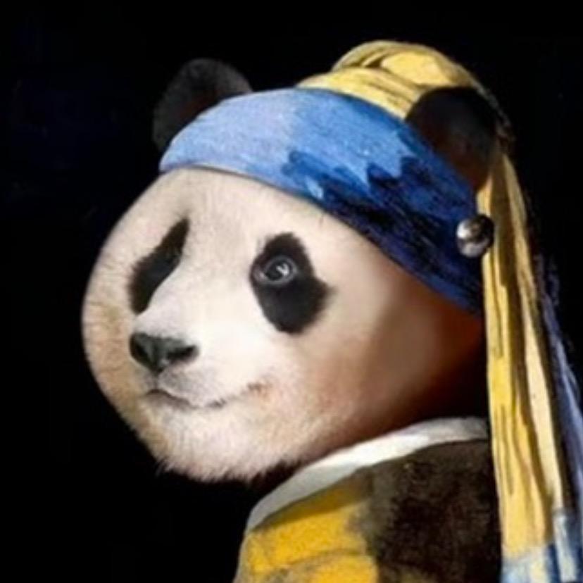 锦   鲤