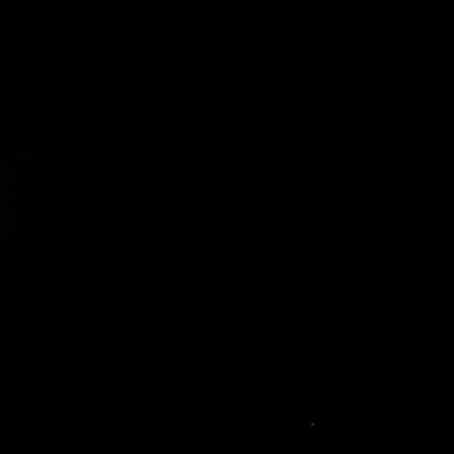 …………………————