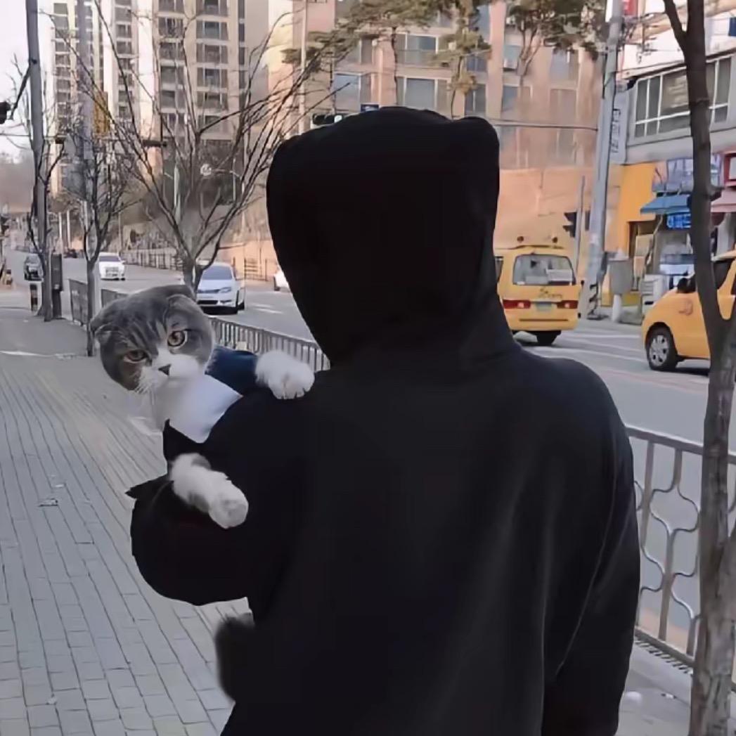 最佳男友