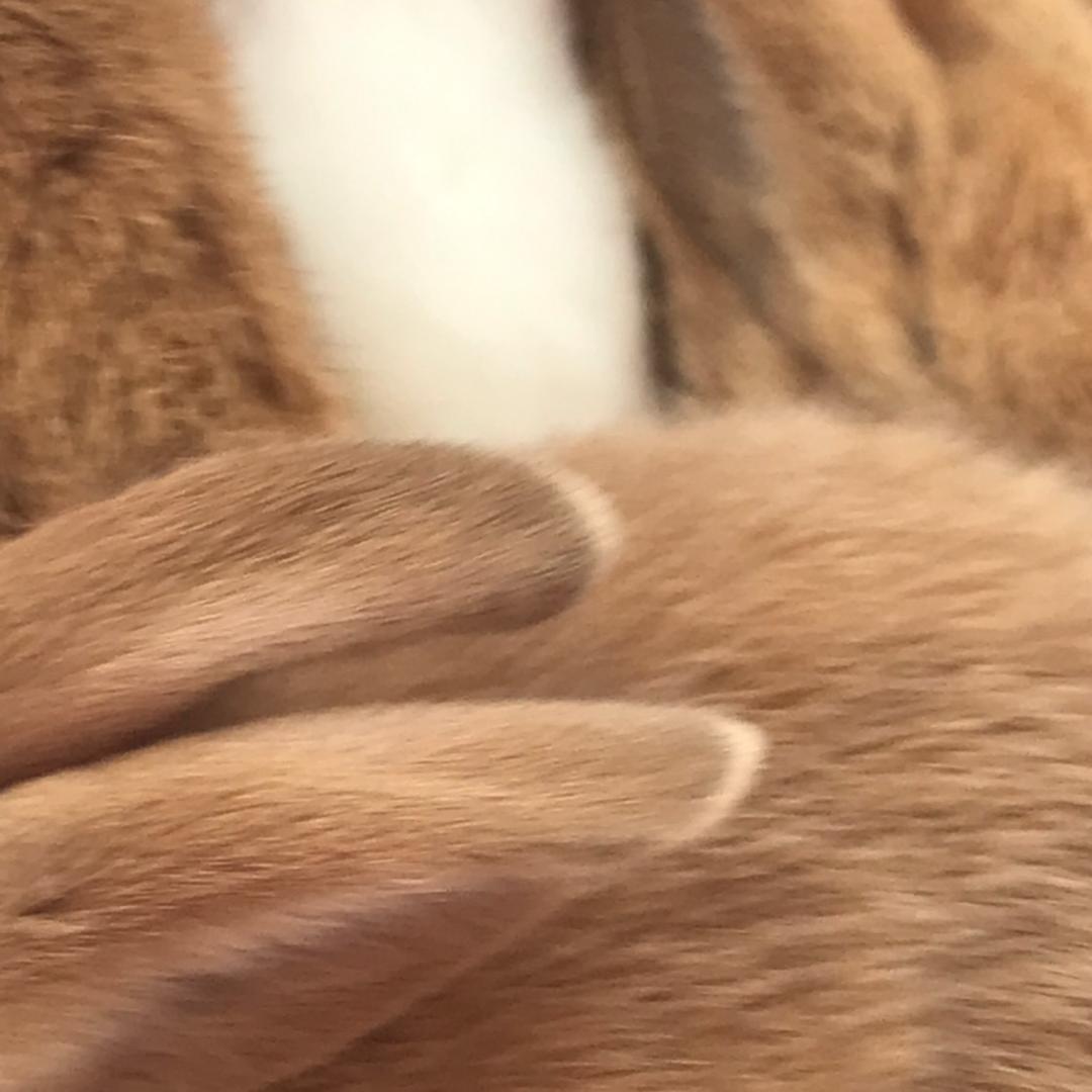 🌈睡觉