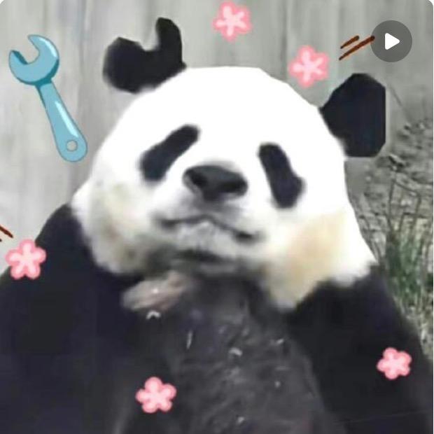 每日一签