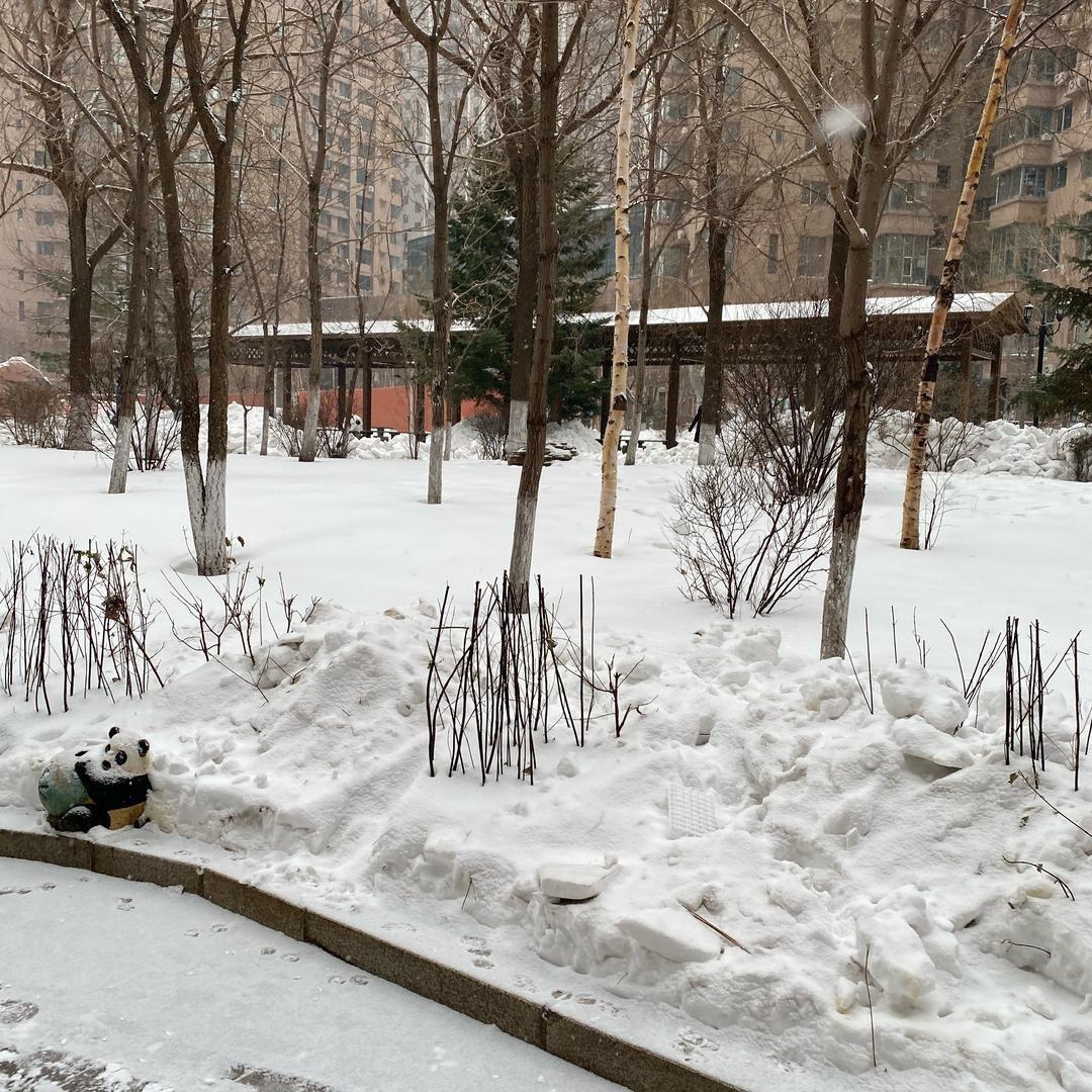 听见冬天的雪