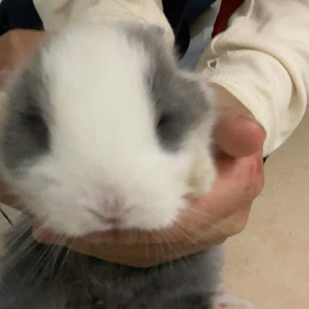 多
