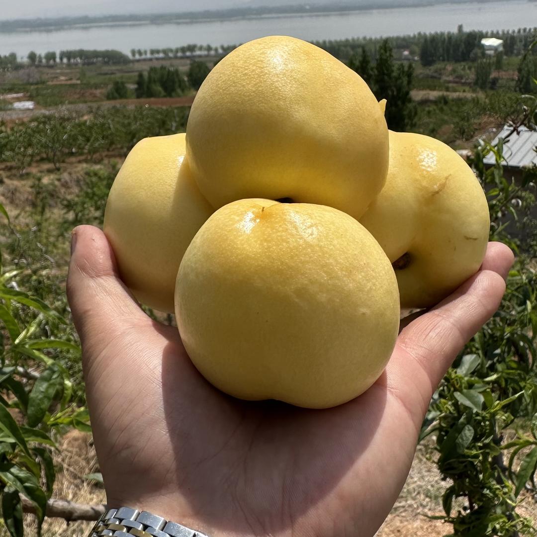 江山仙果绿之农专卖店