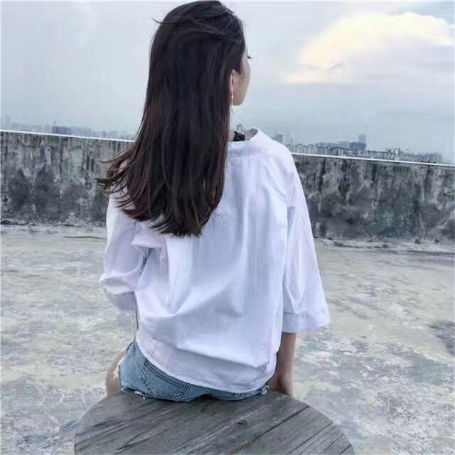 张哈哈🧚‍♂️