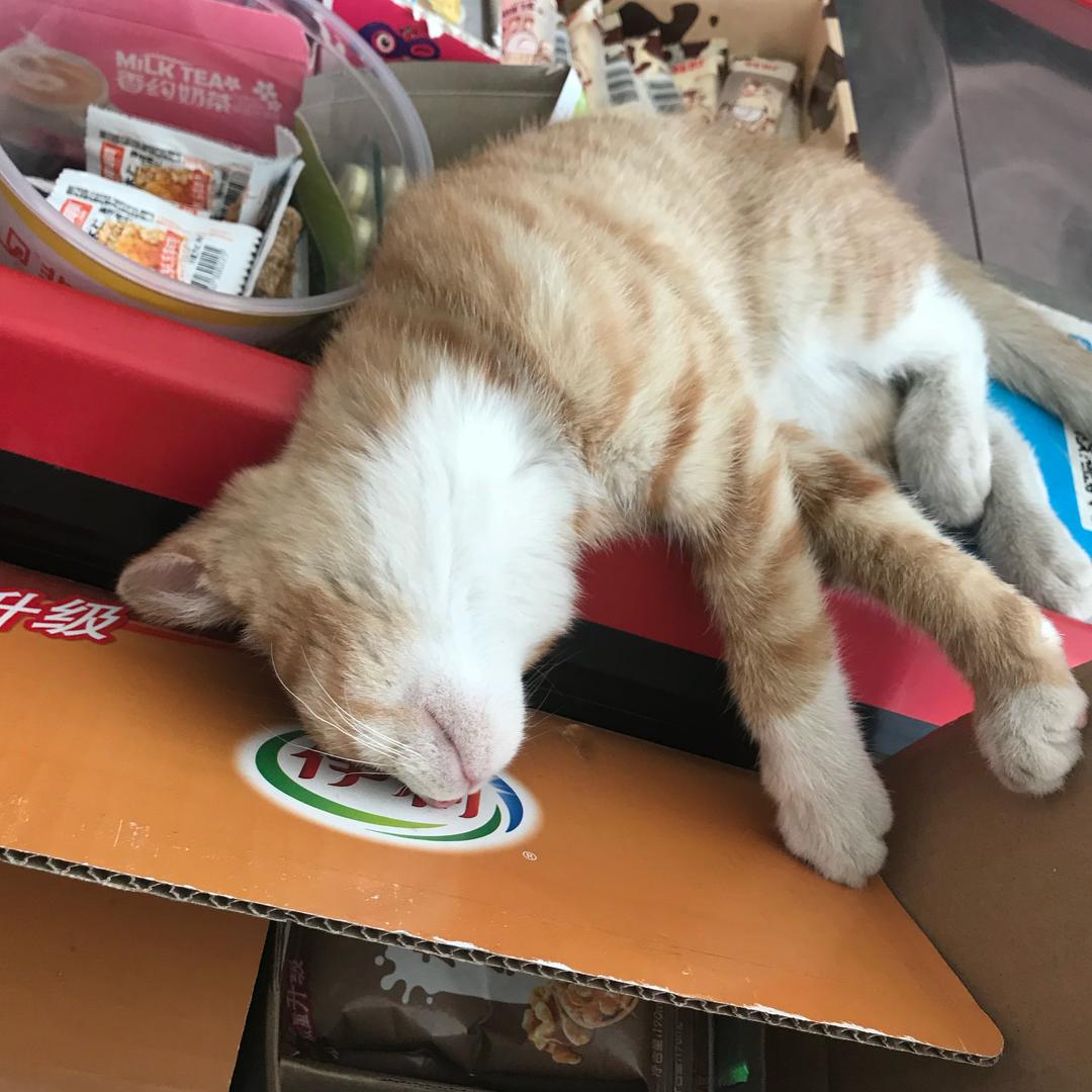 🍓甜草莓