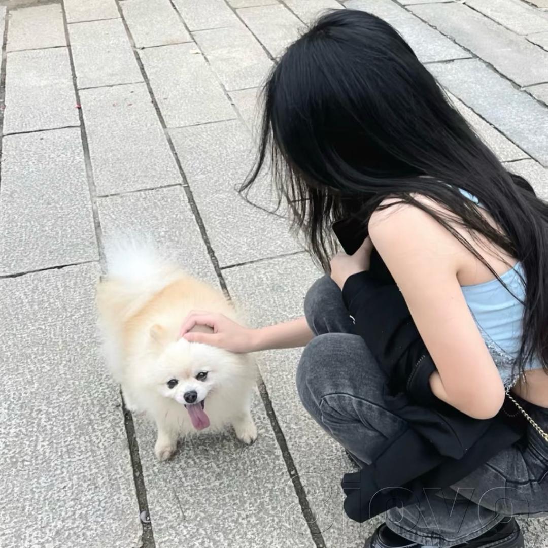 @ 鱼丸