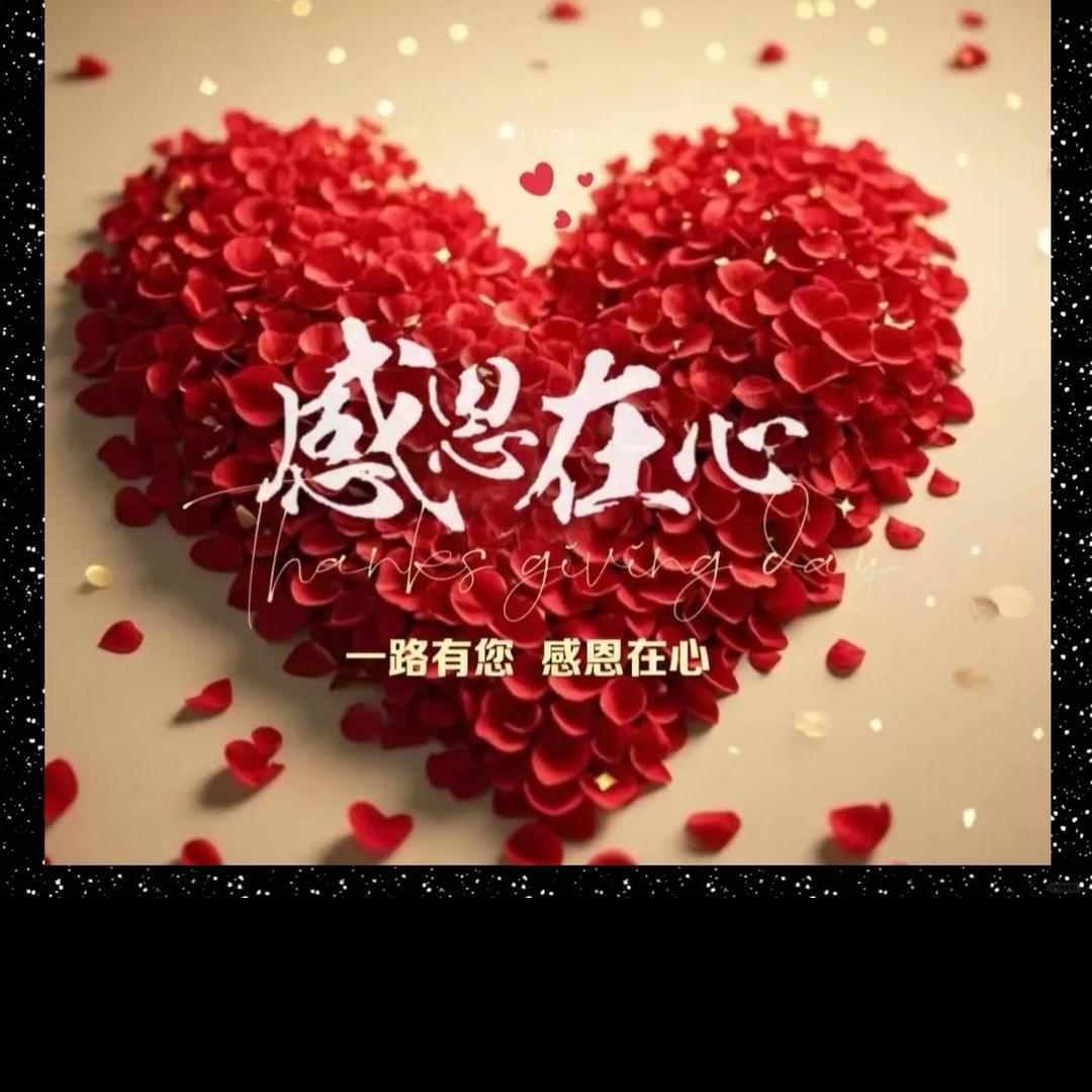 小拉拉琳子🙏