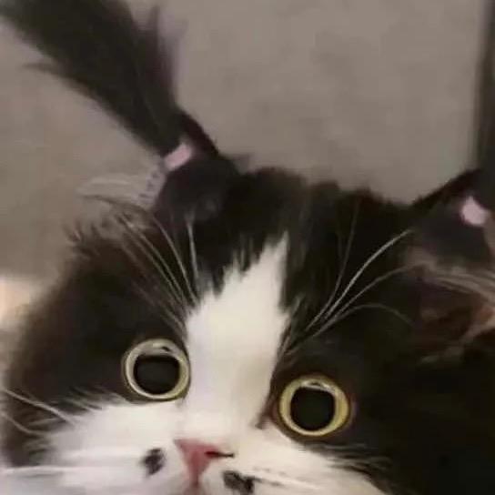 小畅哦🧸