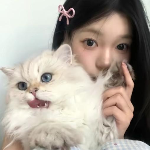 梧忆.