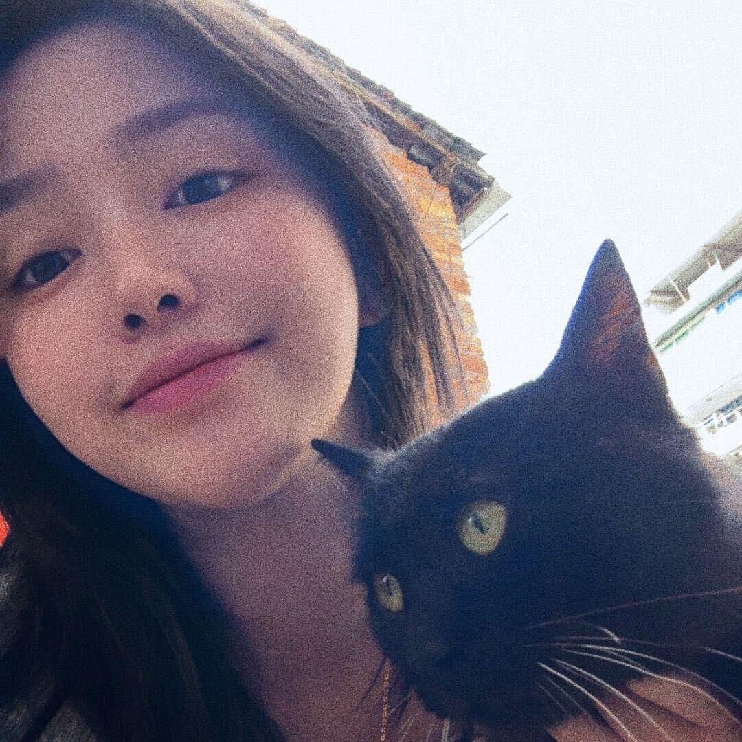 发抖的小喵喵😈