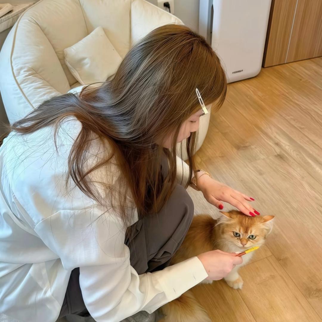 다이다이🍧