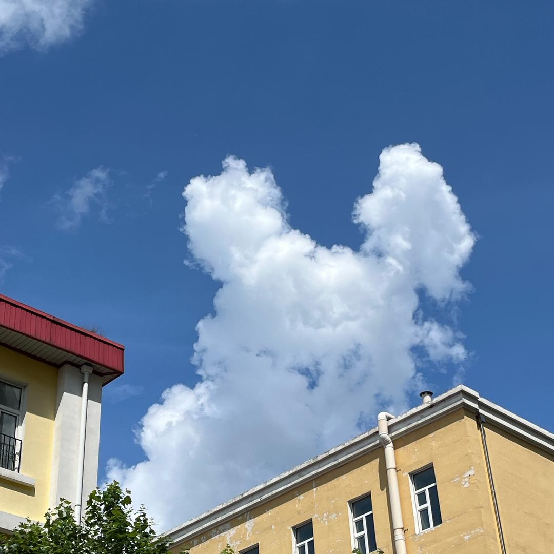 小碗果茶🫶🏻