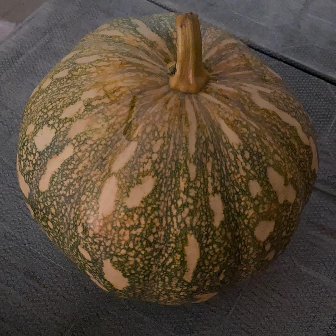 90后乐队爱好者