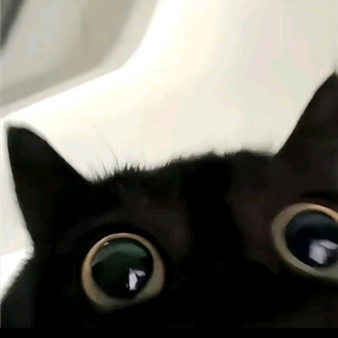 慢慢人生路︋ ㅤ