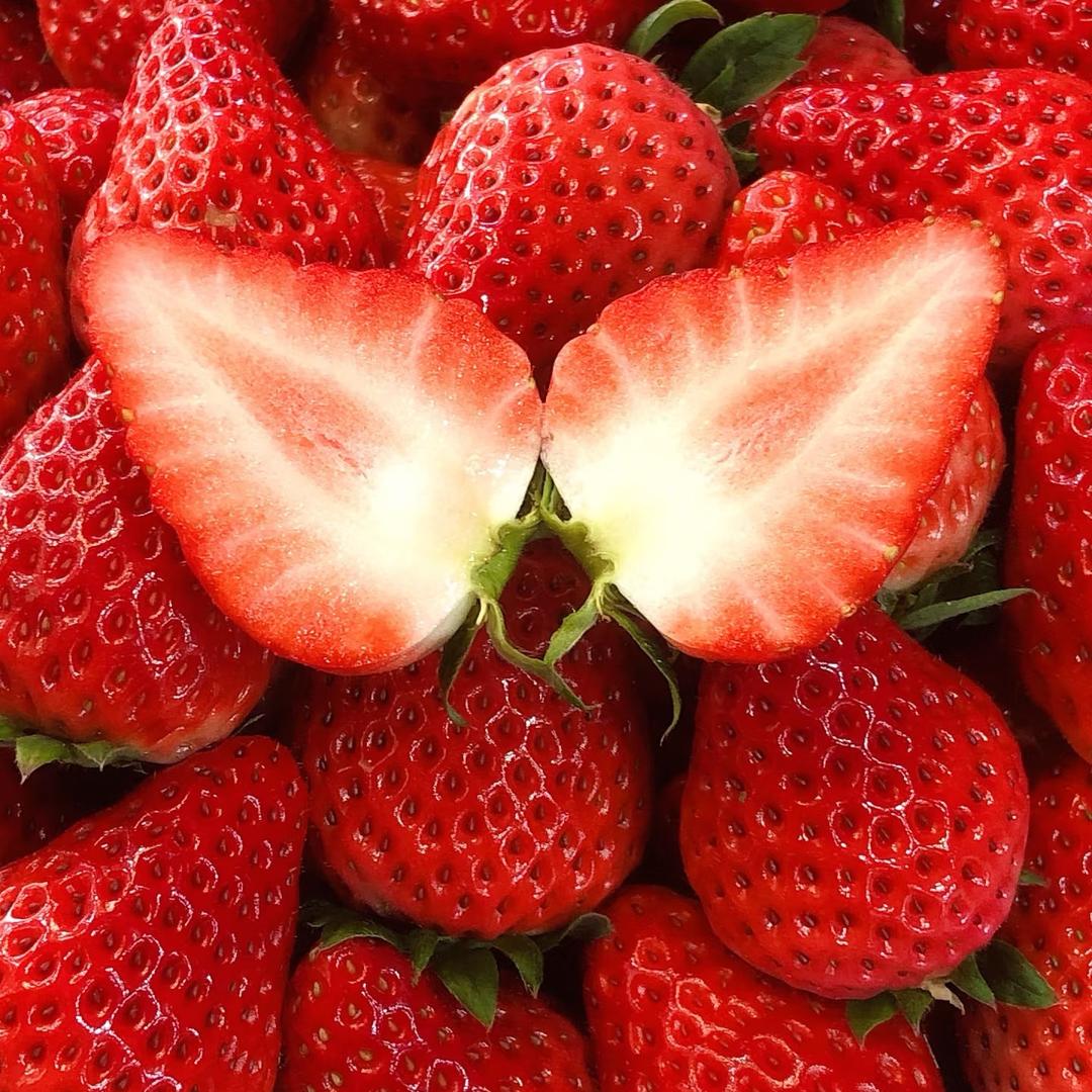 傈珍大凉山特产