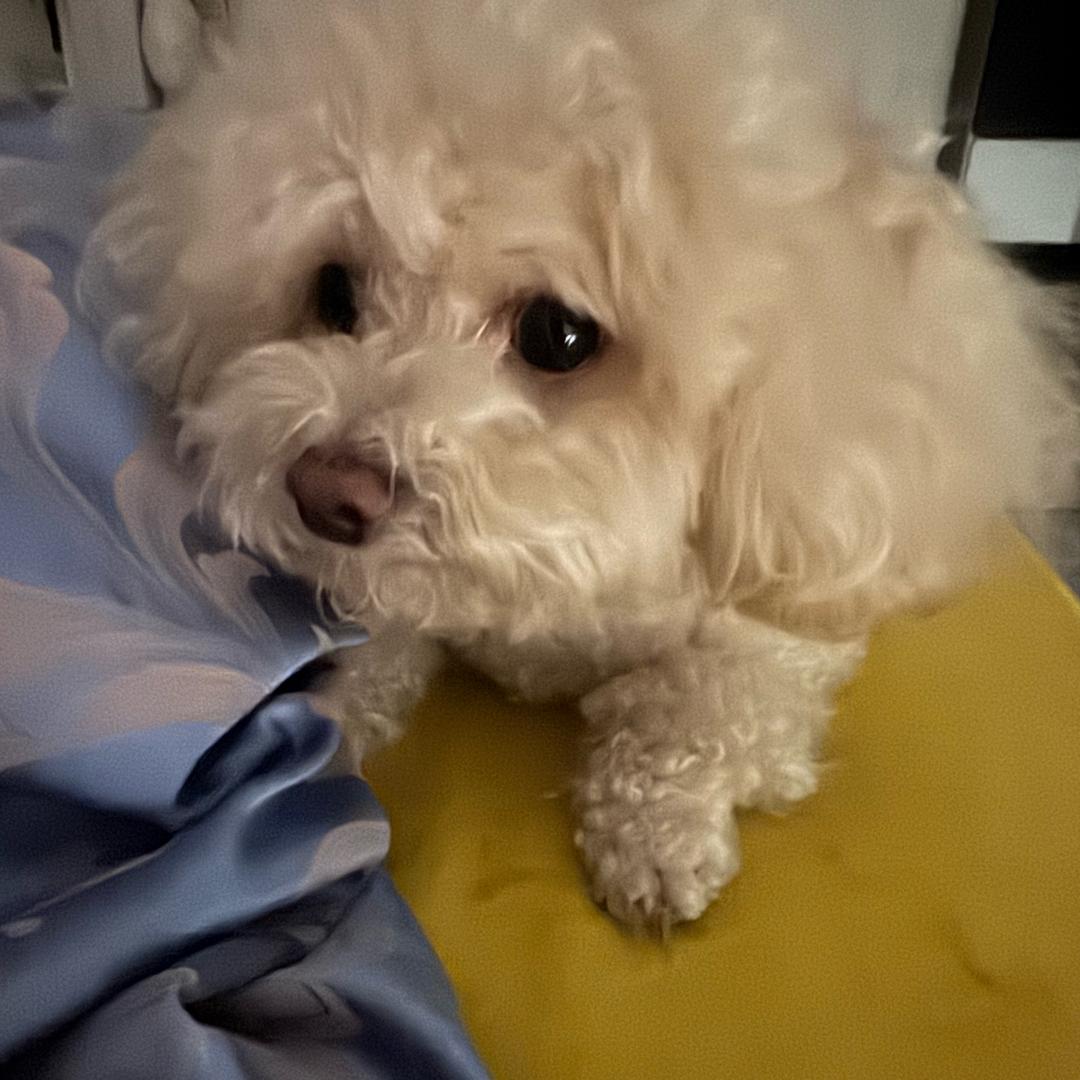 三哥的快乐生活