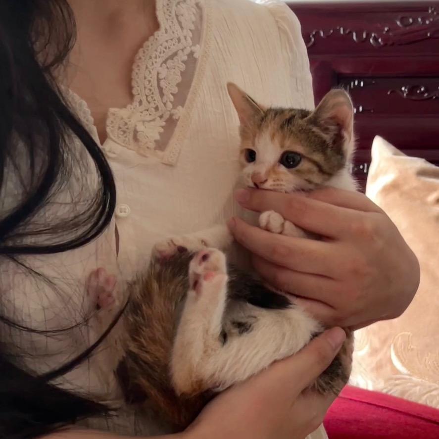 三小只🐱