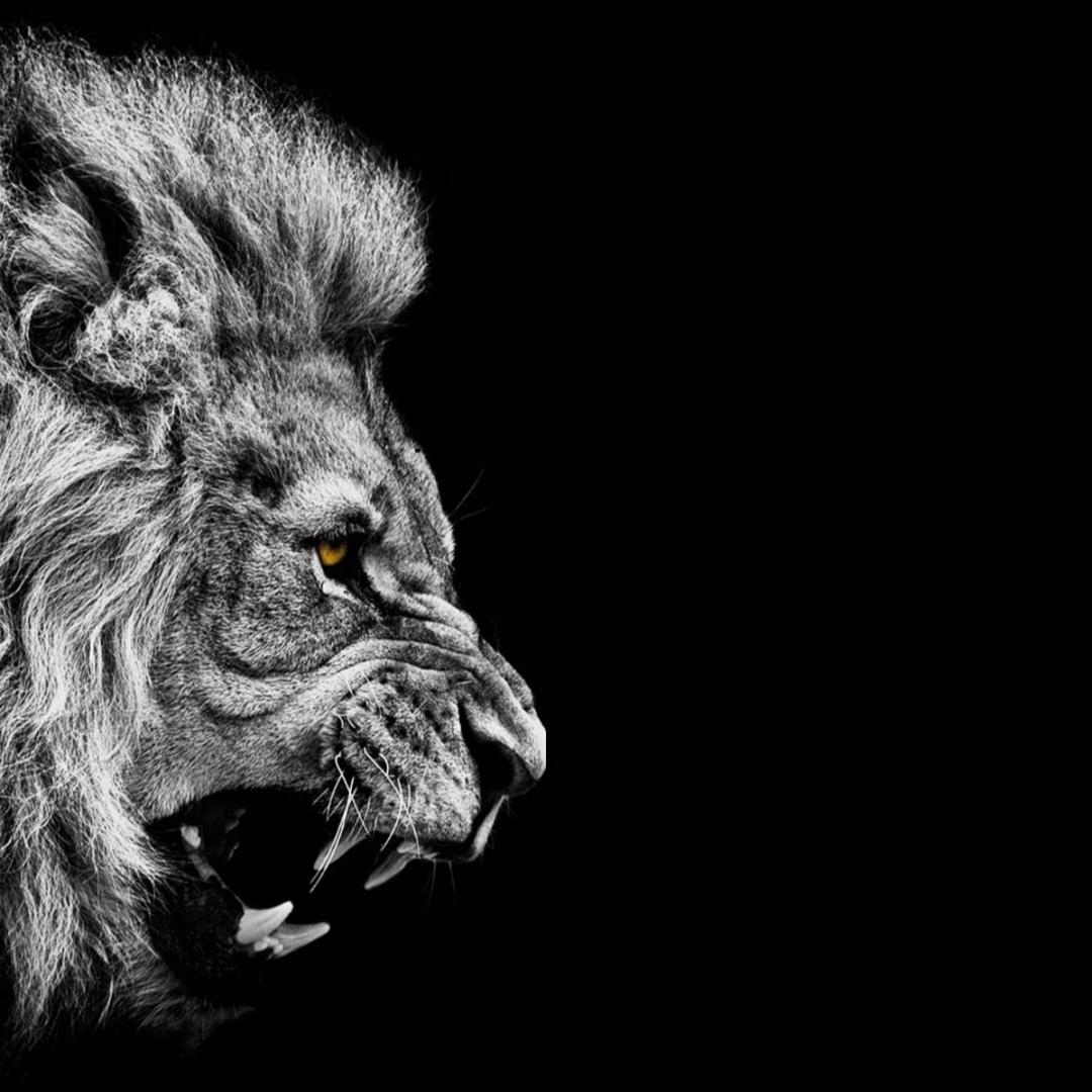 元江县二十三号二手车经营有限公司