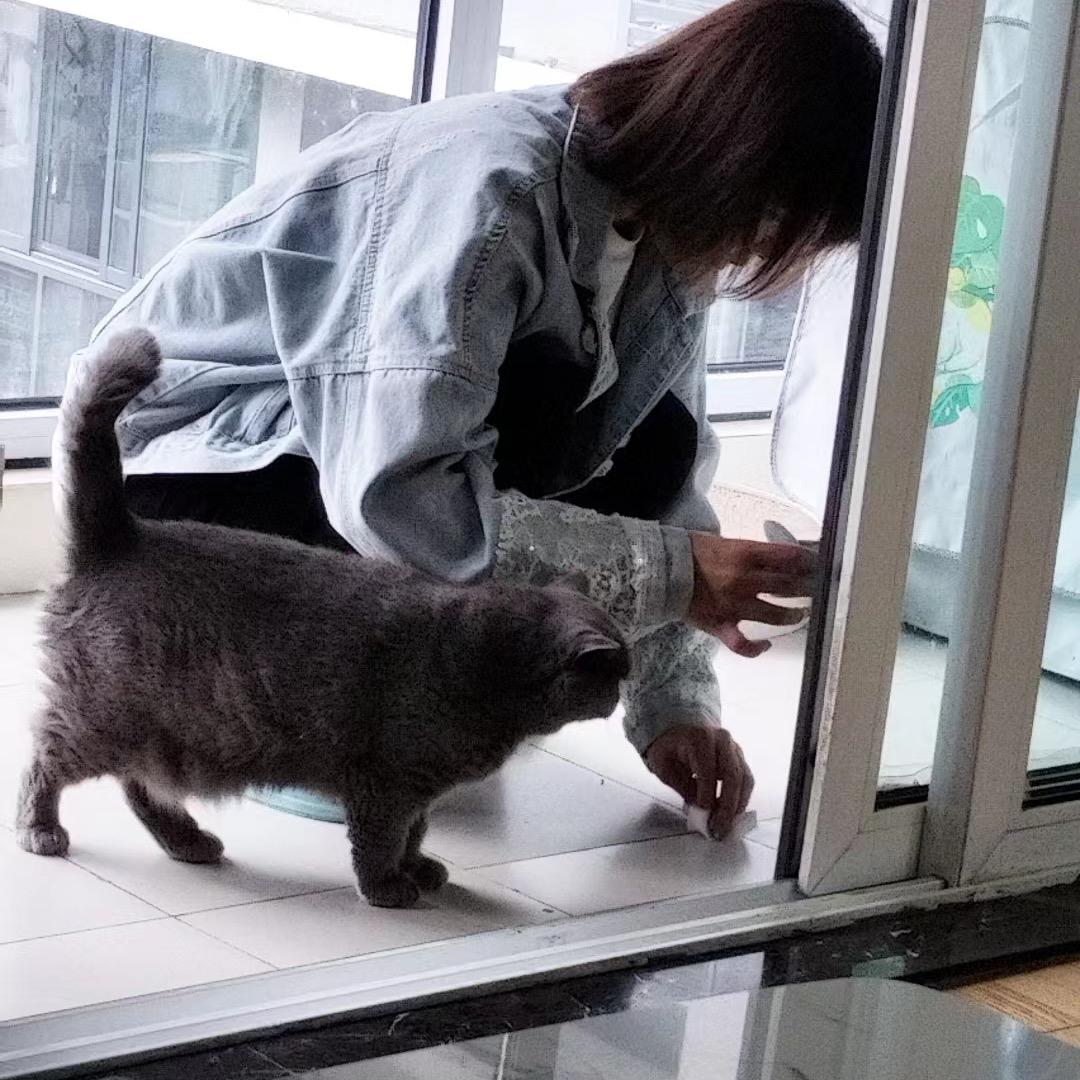 美少女壮士丫