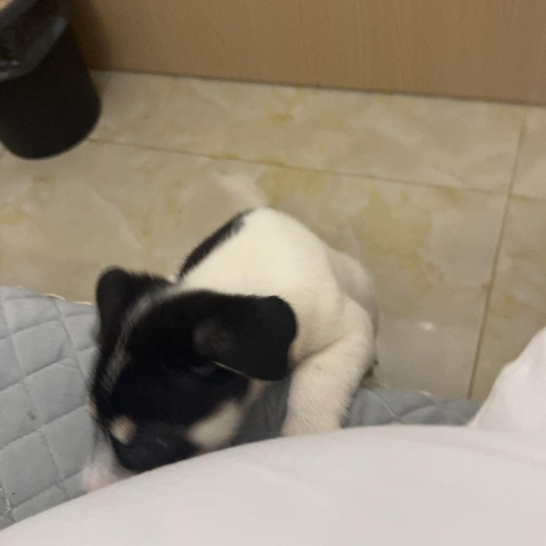 穿搭小日常