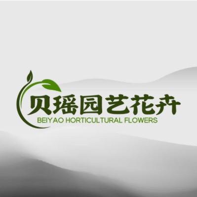 贝瑶园艺花卉