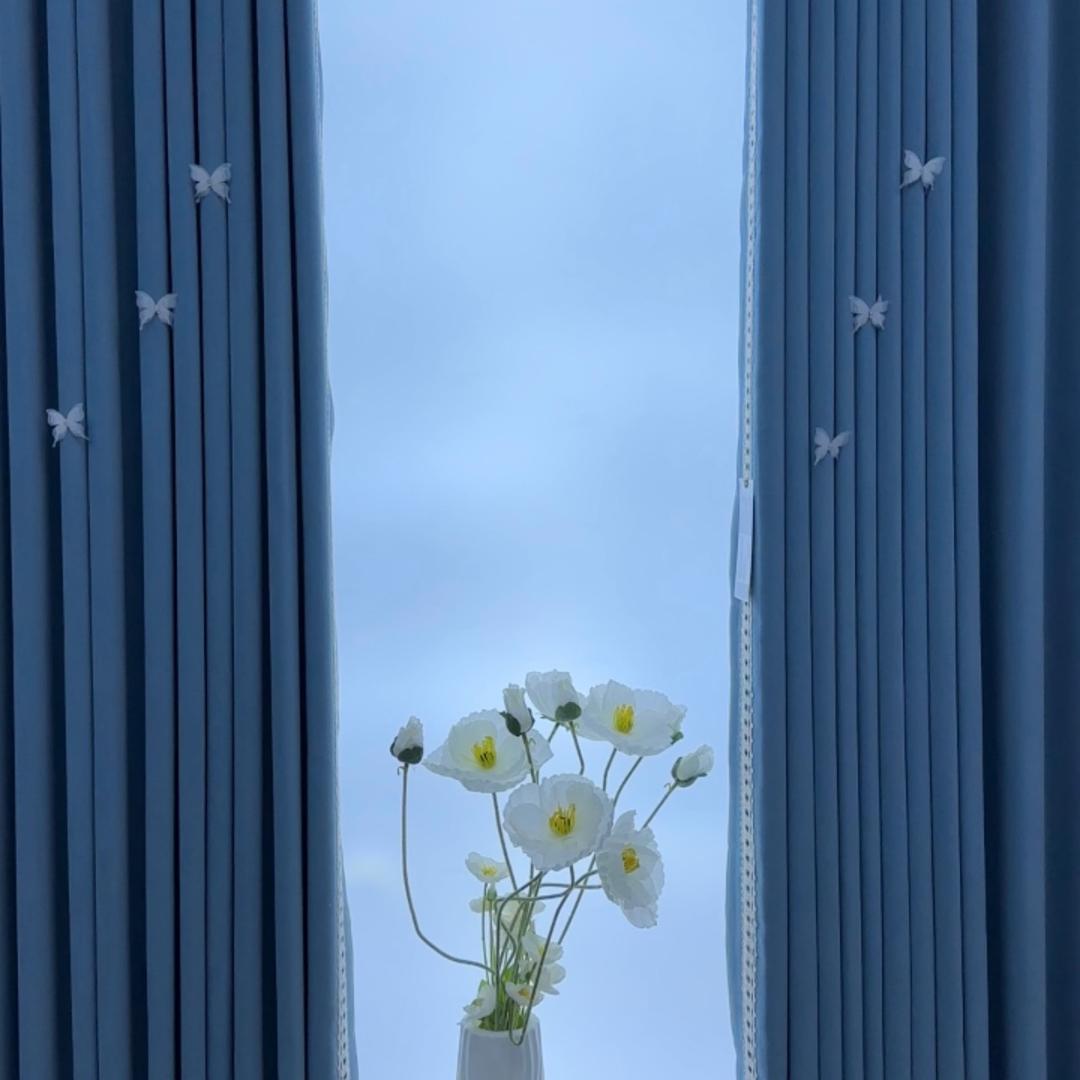 星星窗帘·布艺