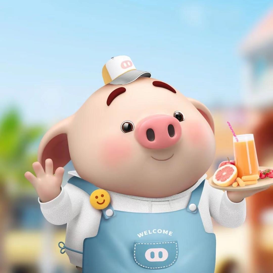 IT电脑维修许猪猪