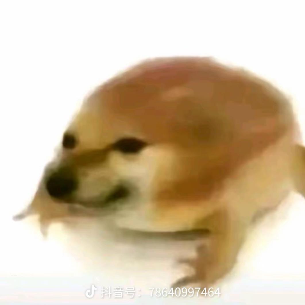 十七当模子