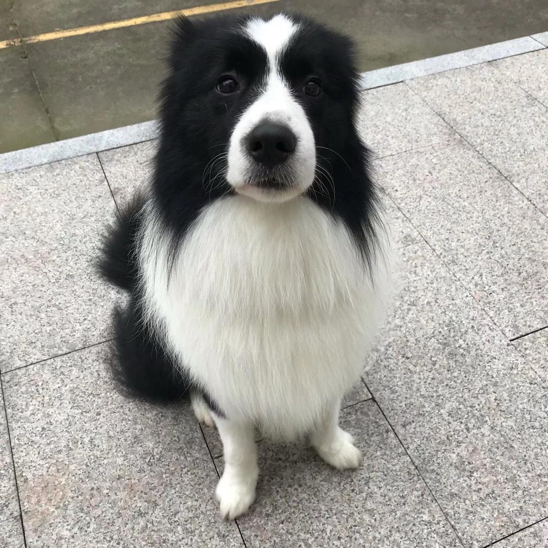 易诚选品