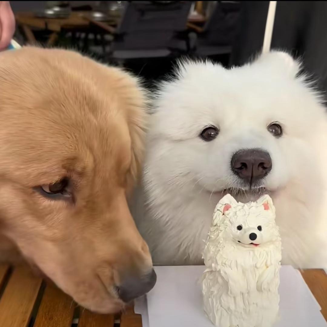 可口可乐我可以