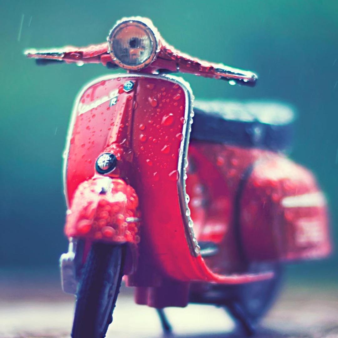 @小有范   (承蒙厚爱)