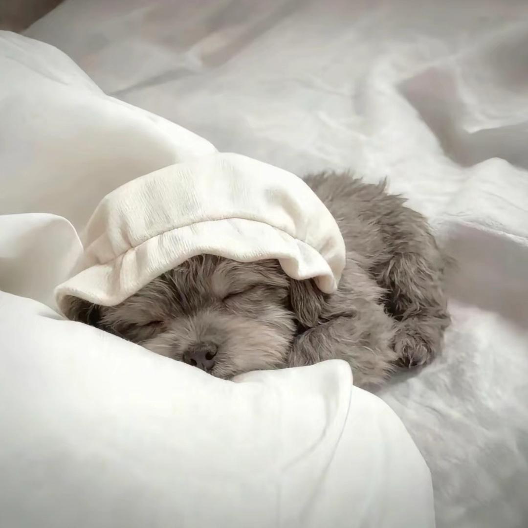 永劫无间眺望🐶
