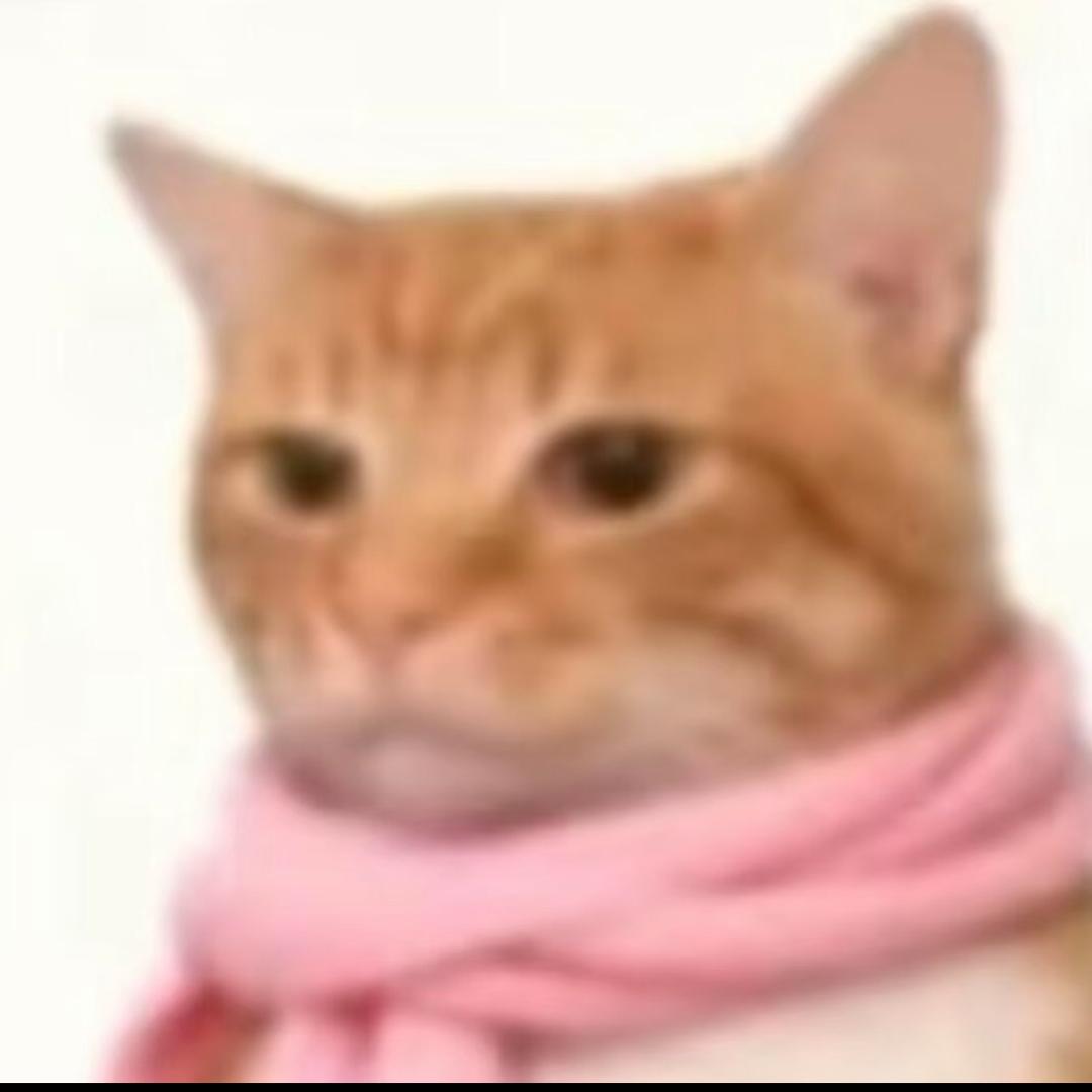 AA孤独的狼（小兵烧烤🔥）