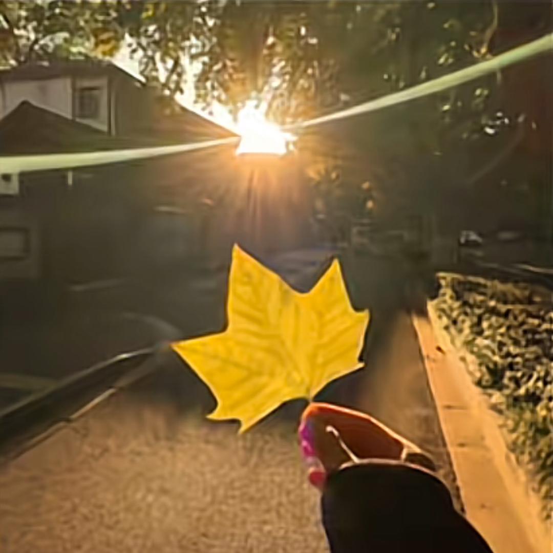 💃🏼米粒儿牛牛