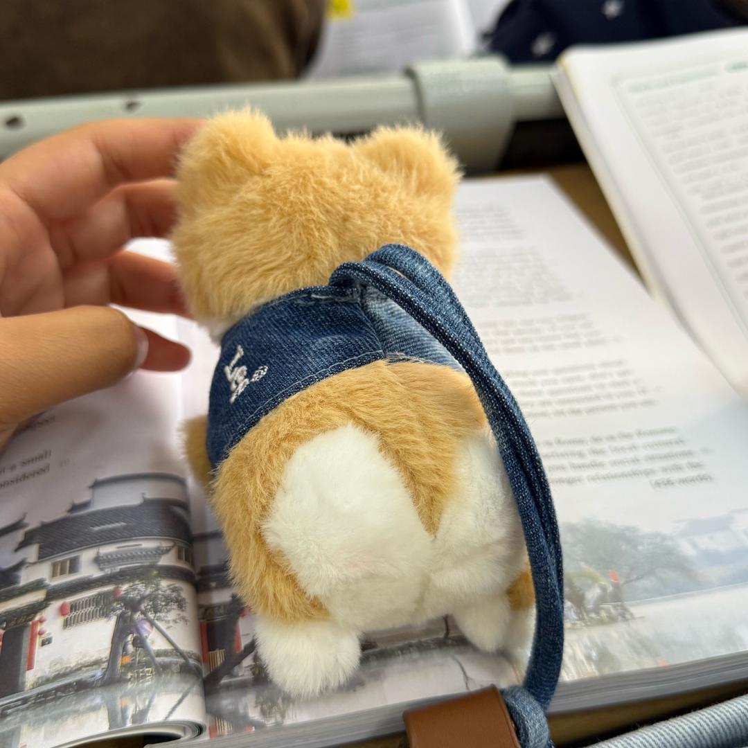 一颗忧郁的梅子