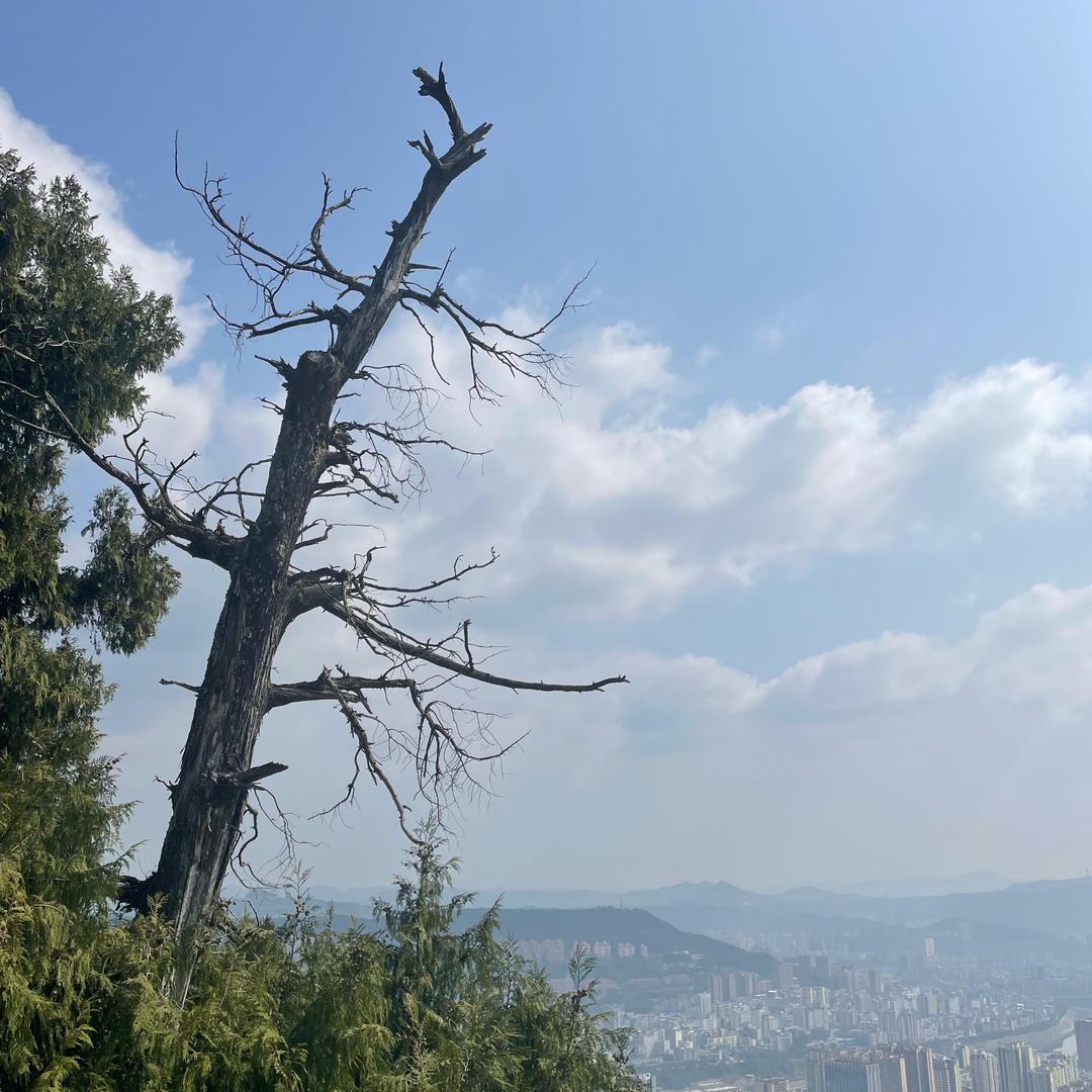 北纬28°