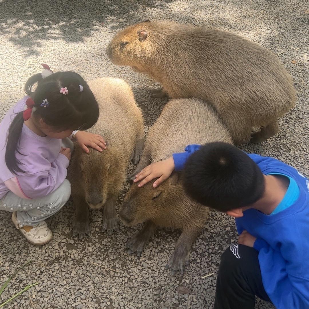 💋     我家有个➰大心心