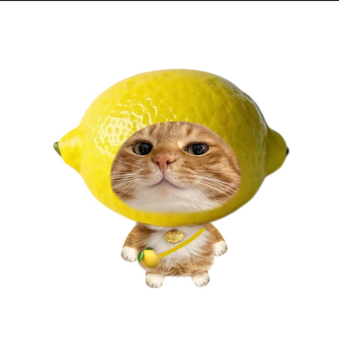 QQ吖