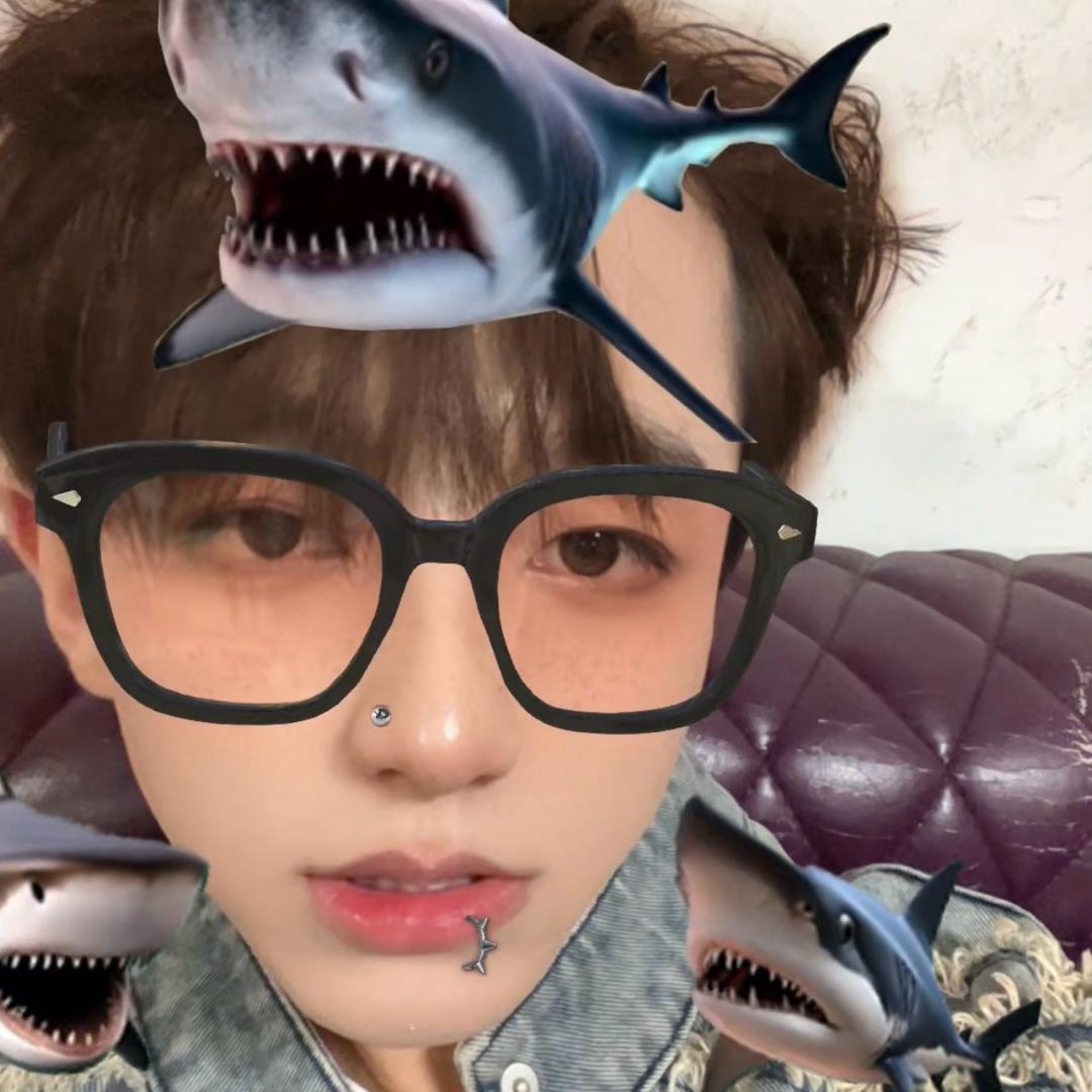 小陈老师🧑‍🏫