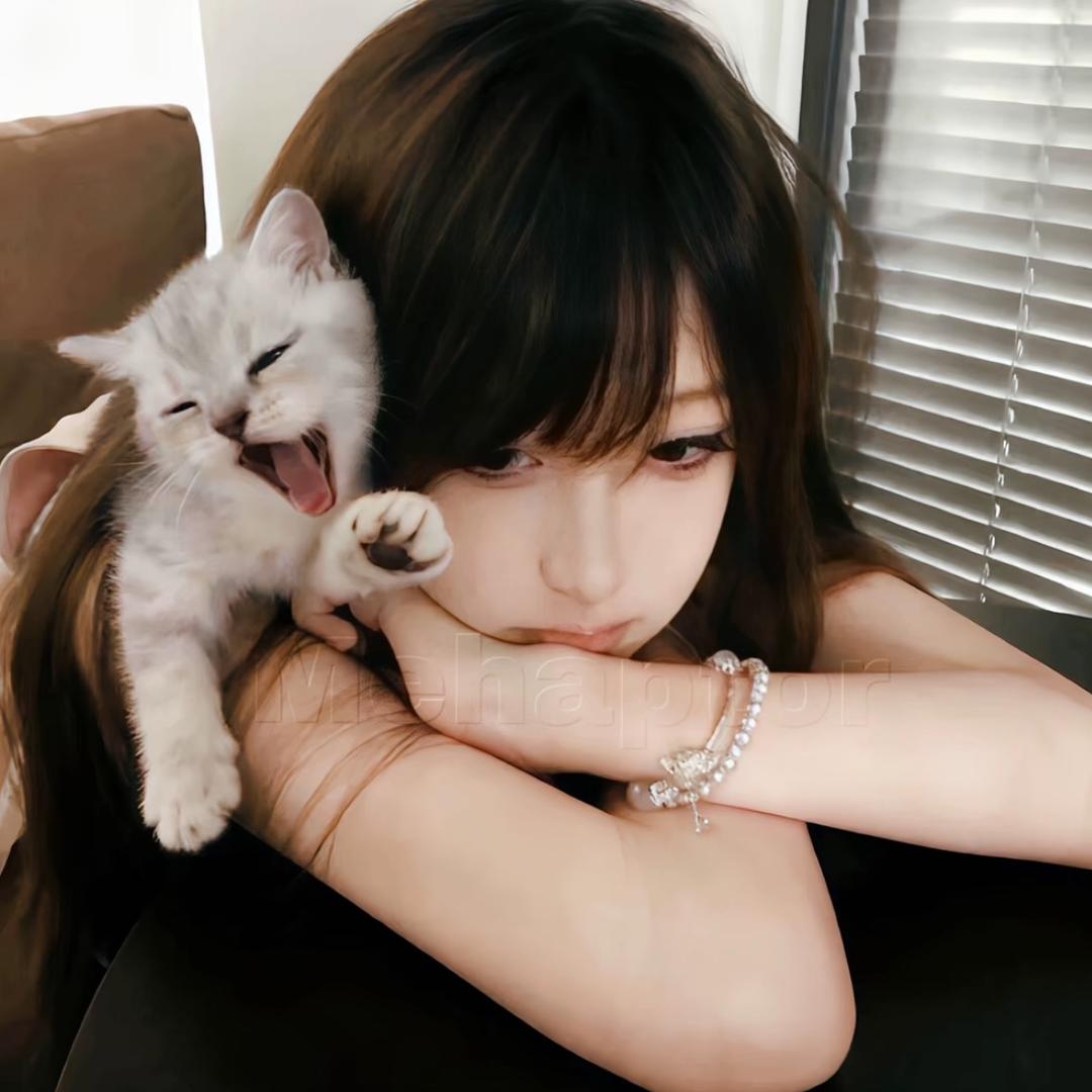 不吃白菜
