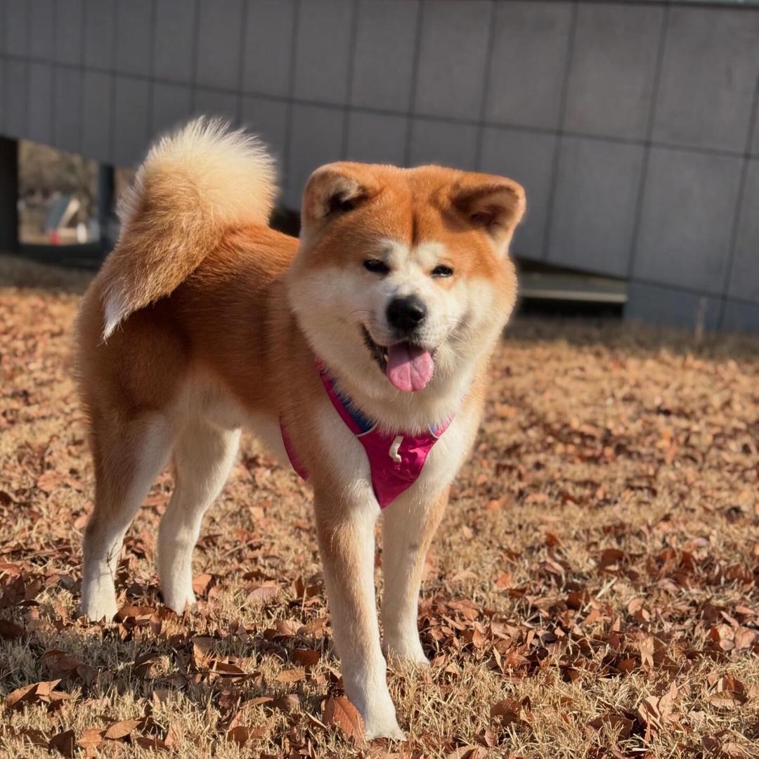甜甜宝宝