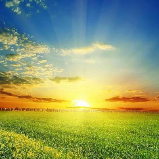 祥和雅乐·圆圆