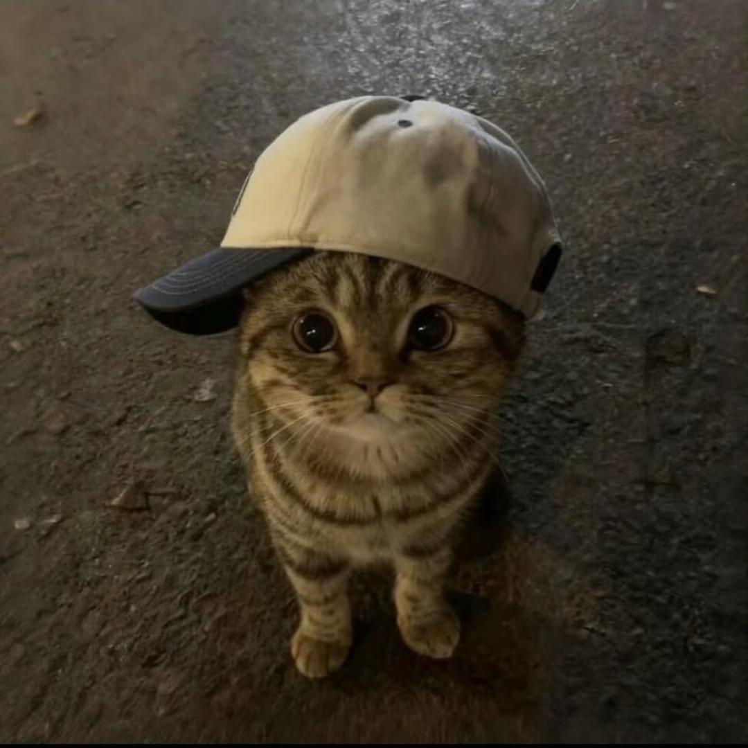 绿色的土豆