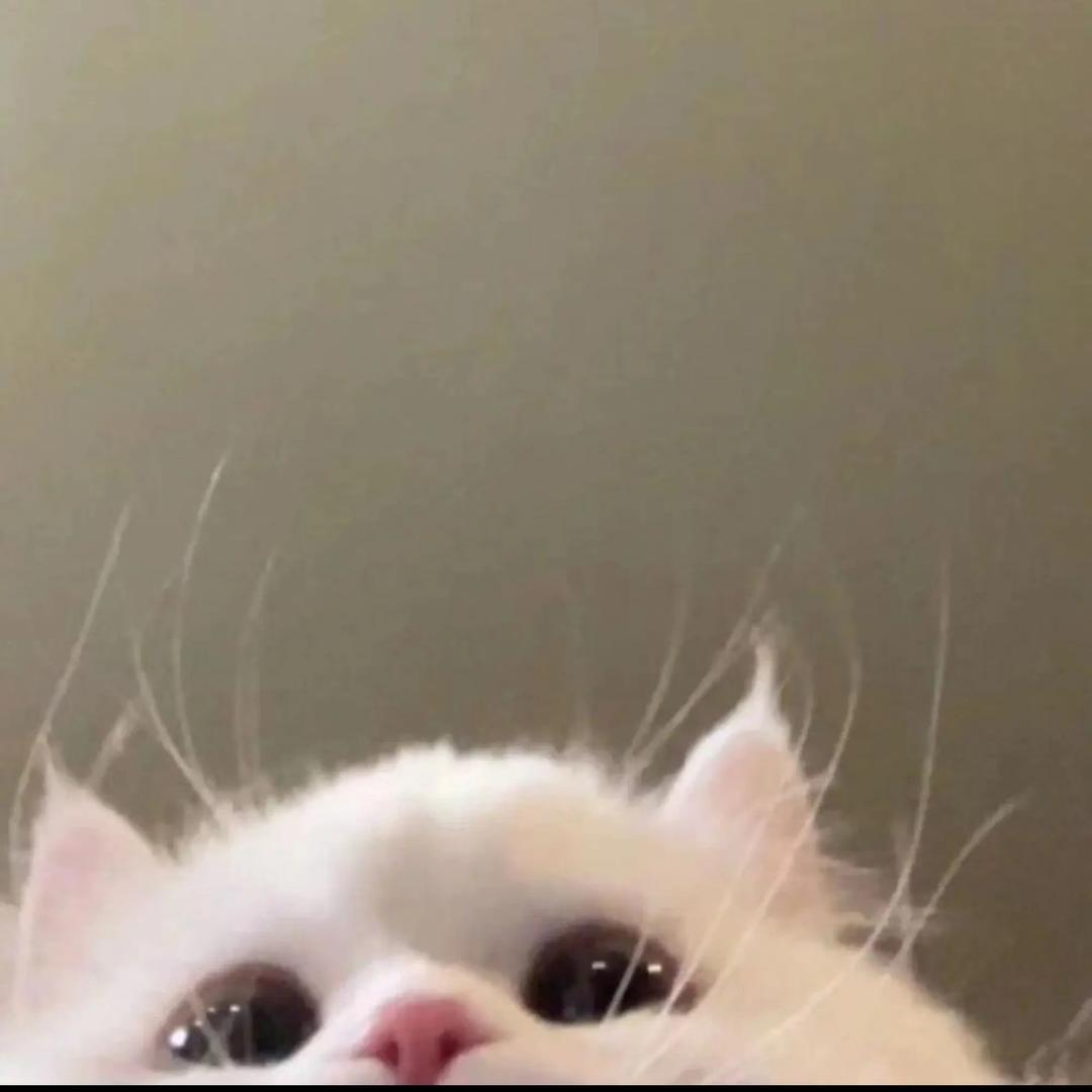 嘟嘟嘟