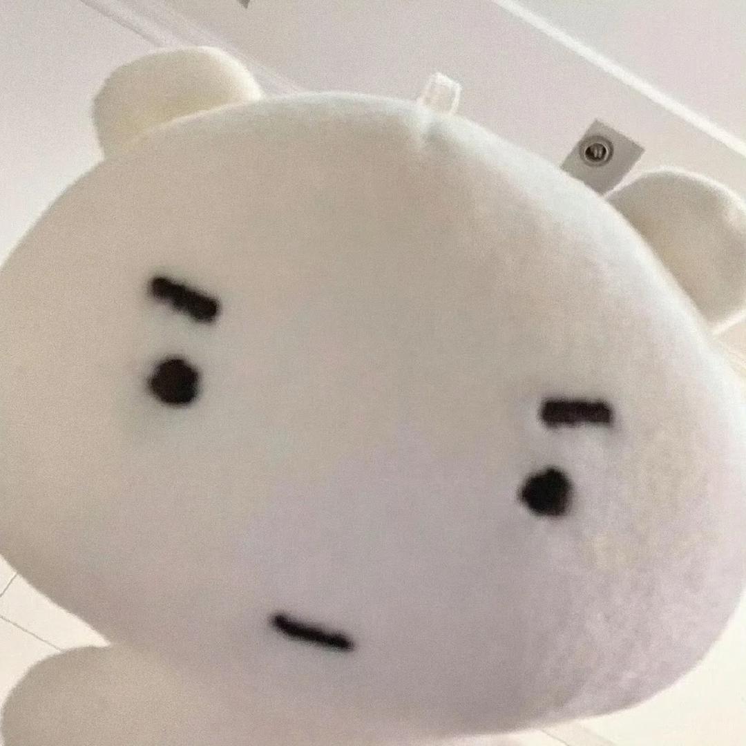 真假