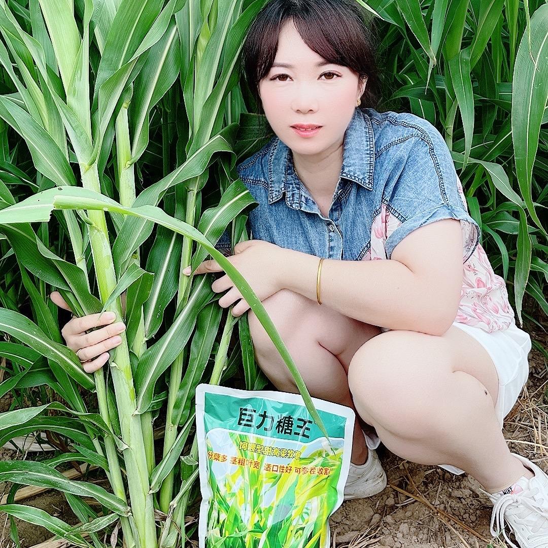 金牧源种业