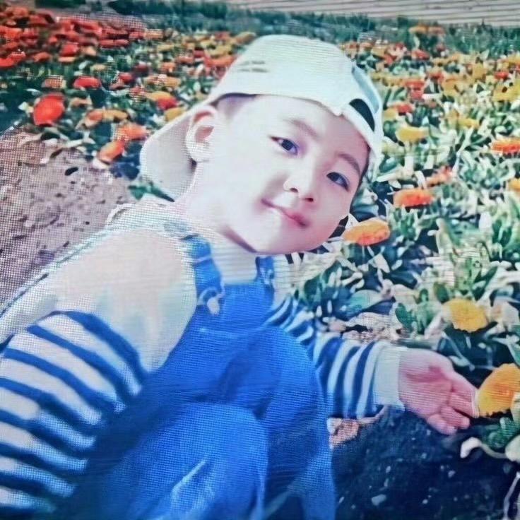 想念是会呼吸的痛